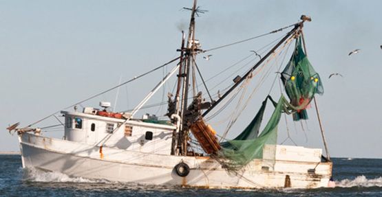 Domingo Navajas barco